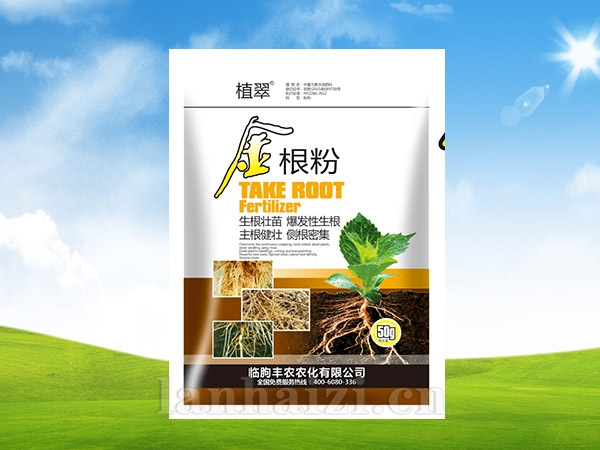 金银粉