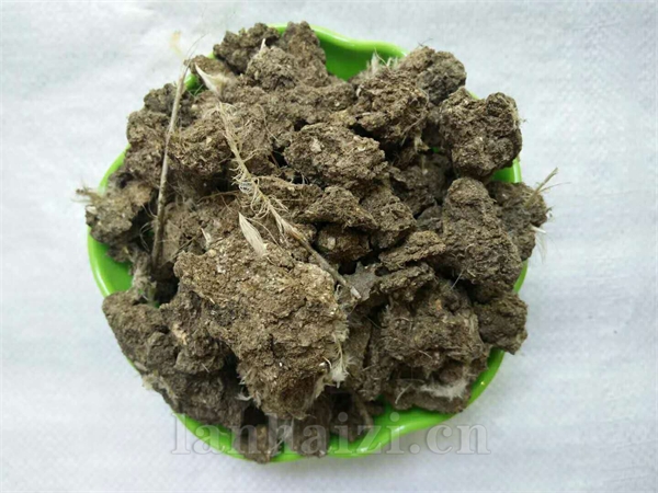 浙江哪里有羊粪 温州羊粪 绍兴鸡粪 湖州牛粪 全国发货