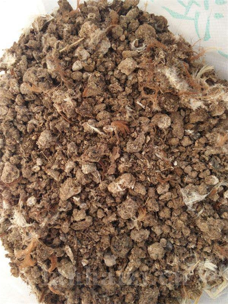 全国批发小鸡粪 小鸡粪多少钱 河北微生物菌肥颗粒鸡粪