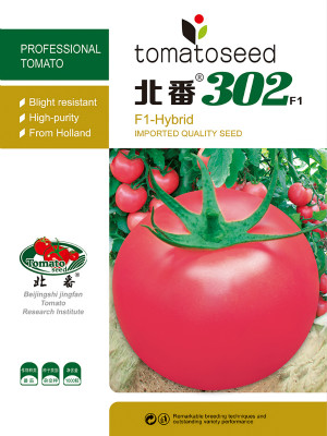 北番302F1-番茄种子