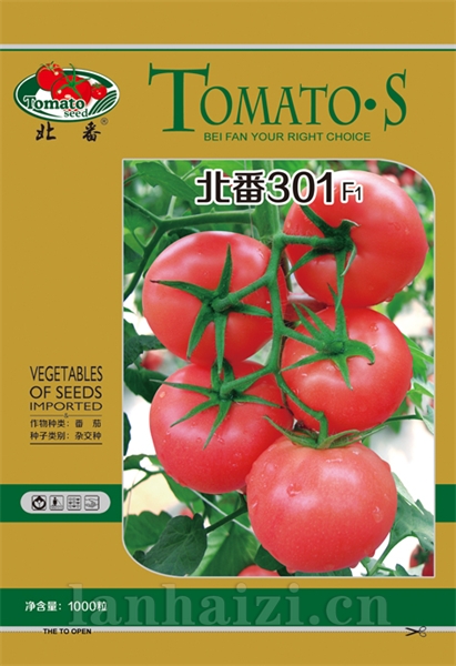 北番301F1-抗TY300元袋