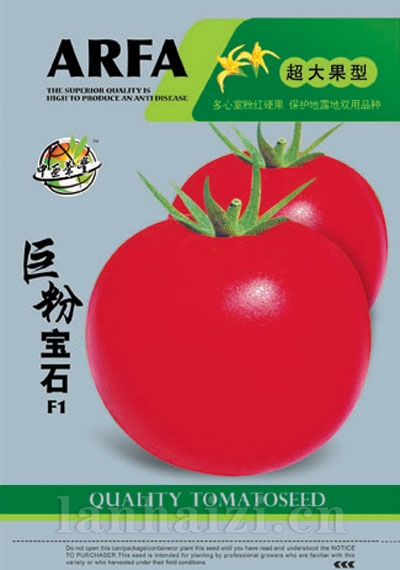 巨粉宝石-番茄种子抗TY抗线虫