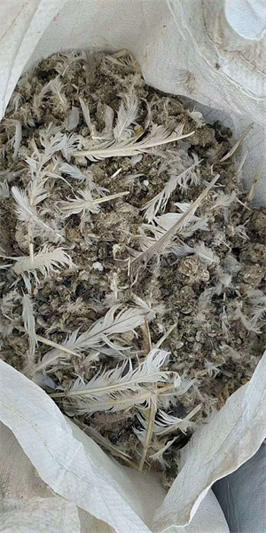 北京鸽子粪全国批发 鹌鹑粪 