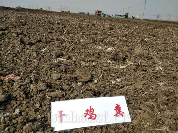 干鸡粪多少钱 果树园林绿化种植肥 全国发货