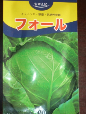 奥特姆甘蓝种子