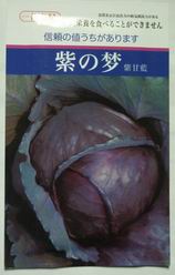 紫梦甘蓝种子