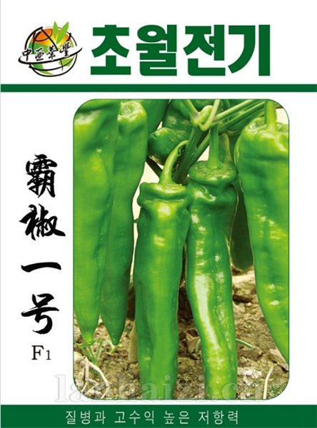 霸椒一号-辣椒种子