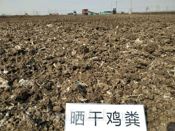 南京干鸡粪 泰州发酵牛粪 有机肥全国发货