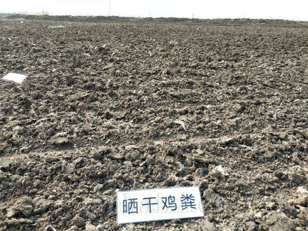 江西干鸡粪 南昌羊粪 改良土壤板结 有机肥全国发货