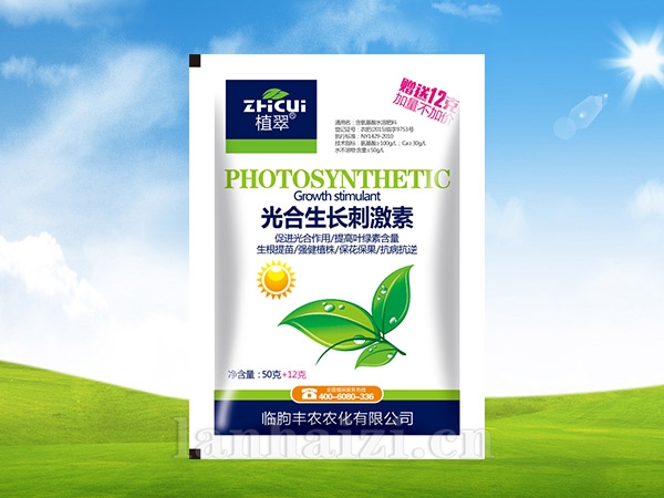 光合生长刺