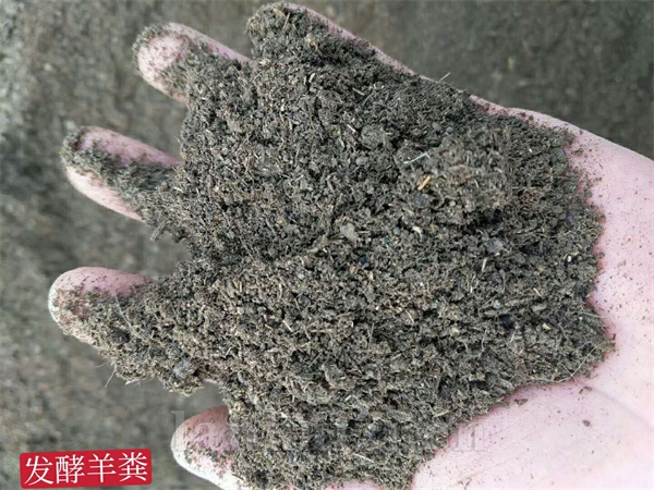 海南干羊粪批发 发酵羊粪有机肥