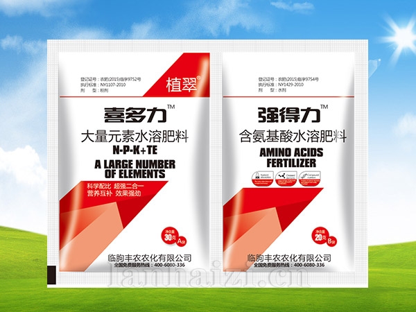 喜多力+强得力