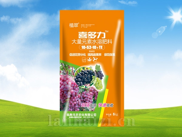 喜多力