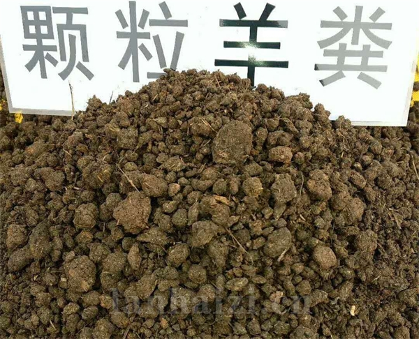 辽宁批发干羊粪 发酵羊粪有机肥