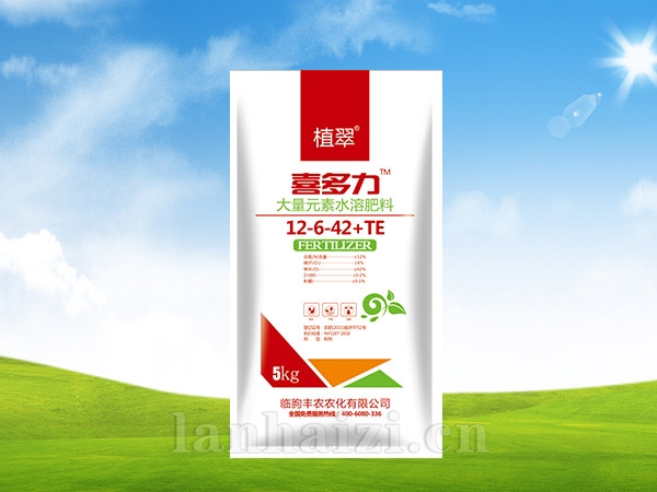 喜多力