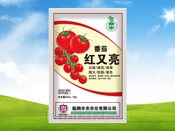番茄红又亮