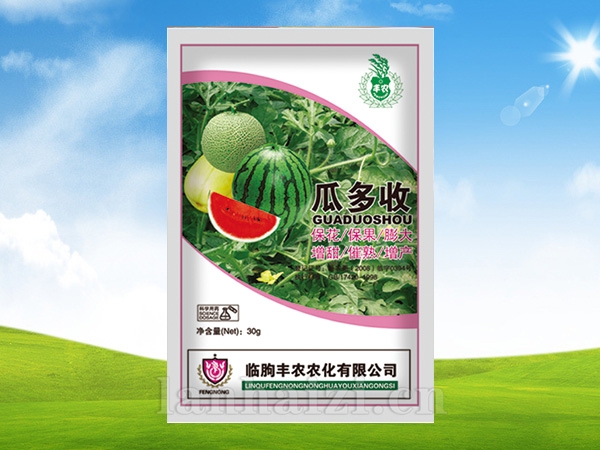 瓜多收