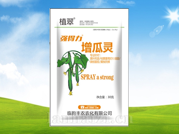 增瓜灵