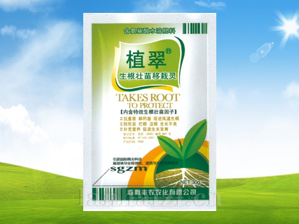 生根壮苗移栽灵