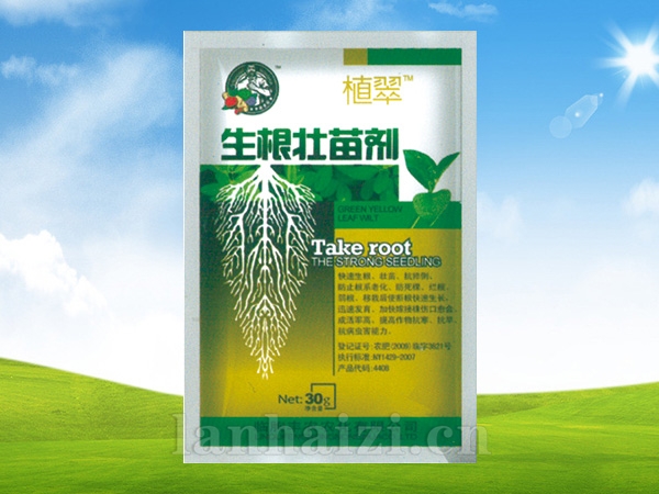 生根壮苗剂