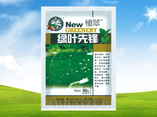 绿叶先锋