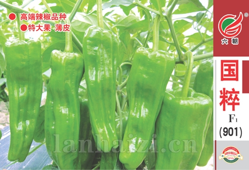 国粹901