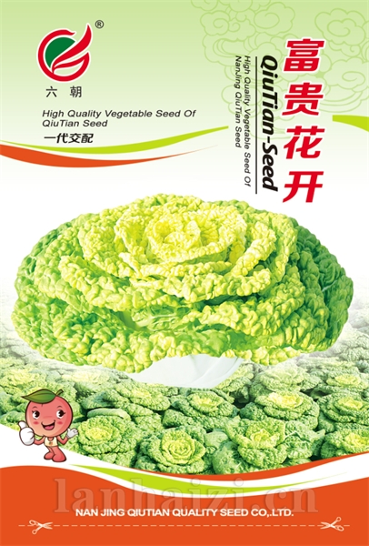 富贵花开