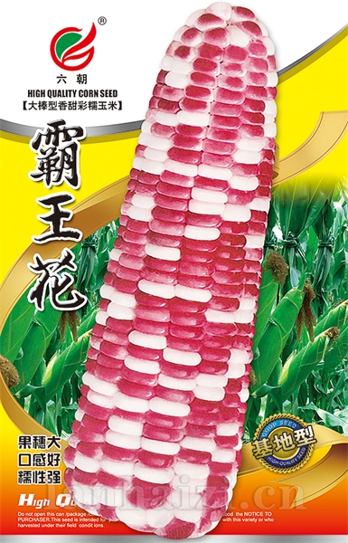 霸王花
