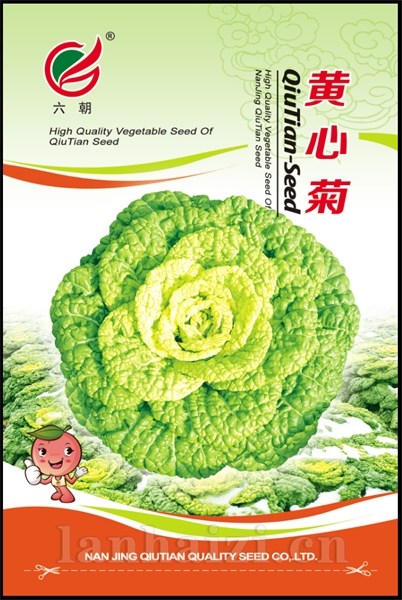 黄心菊