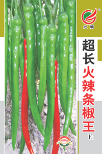 超长条椒王