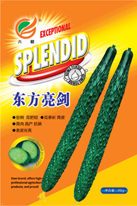 东方亮剑