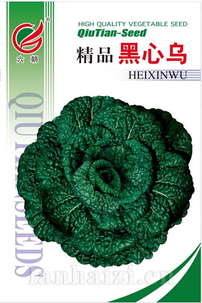 黑心乌