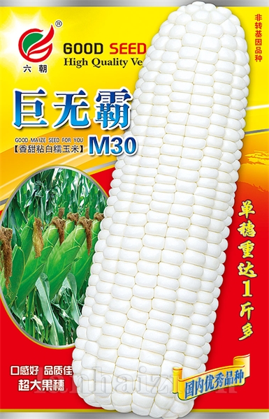 巨无霸M30