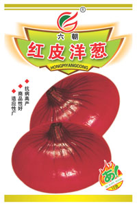 红皮洋葱