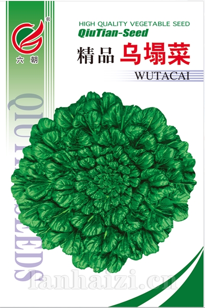 乌塌菜