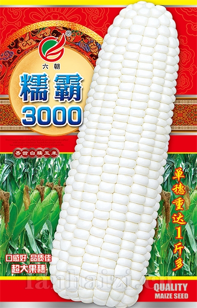 糯霸3000