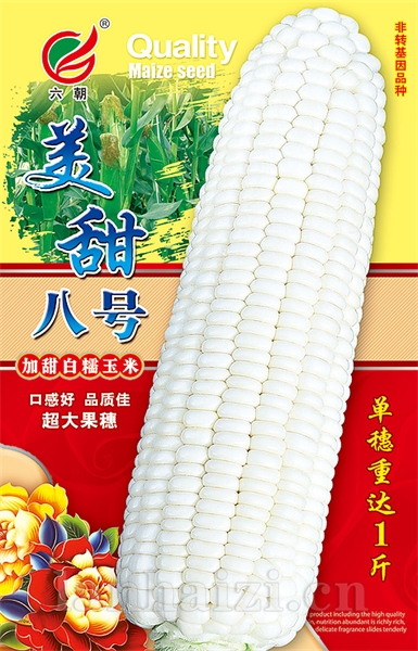 美甜8号