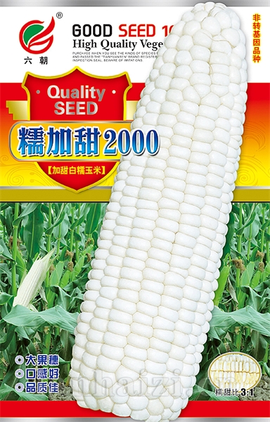 糯加甜2000