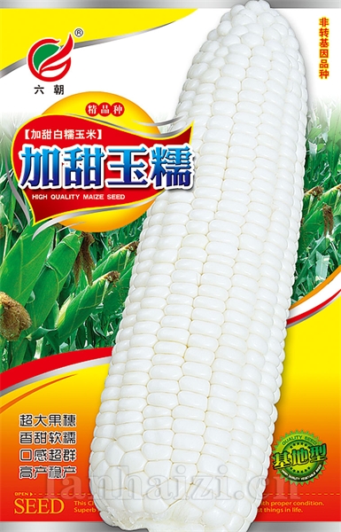 加甜玉糯