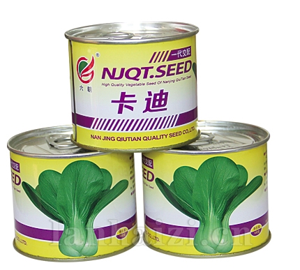 卡迪（罐）