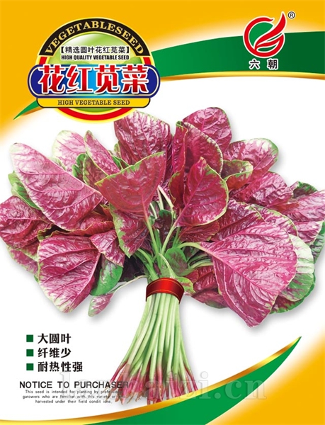 花红苋菜
