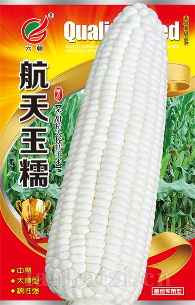 航天玉糯