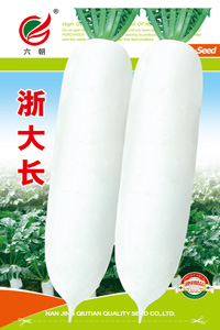 浙大长