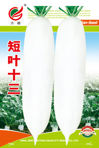短叶十三