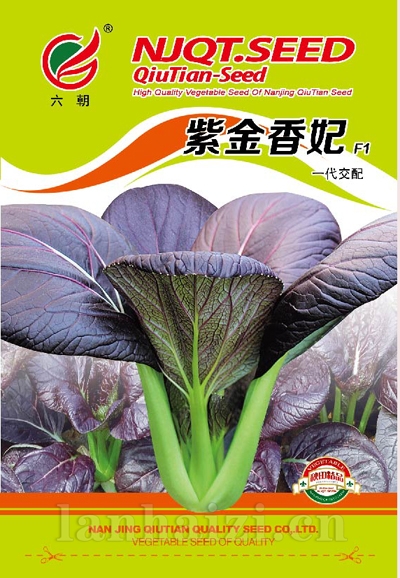 紫金香妃