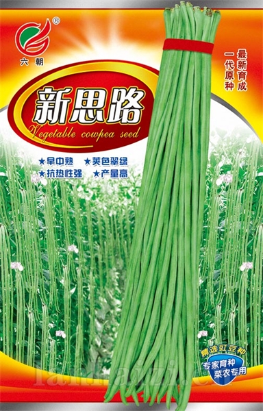 新思路