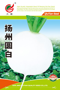 扬州圆白