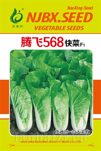 腾飞568快菜