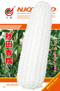 秋田香糯