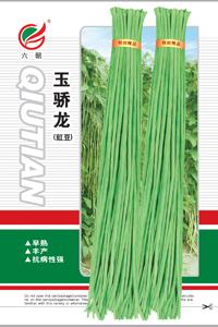 玉骄龙-2